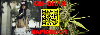 сатива Можга