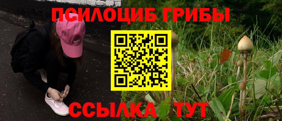 Галлюциногенные грибы Cubensis Югорск